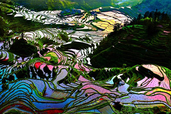 10-Rice-Terraces-Yunnan-China
