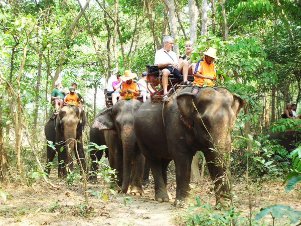 Elephant Riding-HuaHin